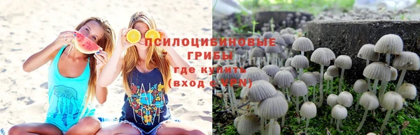 мяу мяу мука Алзамай
