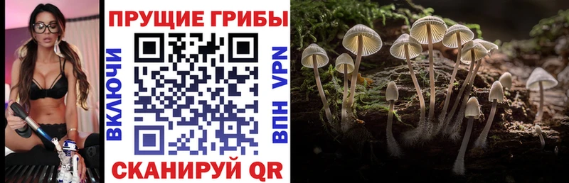 Галлюциногенные грибы MAGIC MUSHROOMS  Туран 